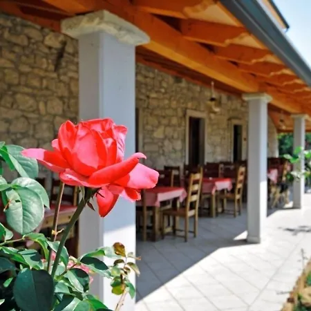 Otel Calussovo 3*