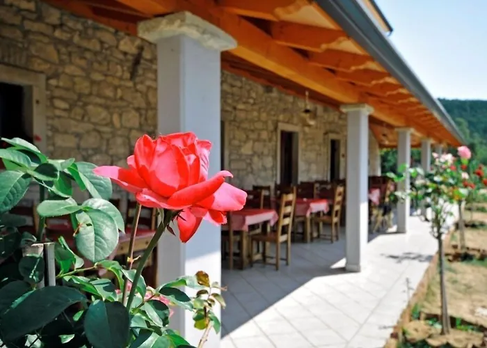 Hotel Calussovo 3*